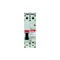 Eaton Molded Case Breakers MCCBs EGB 2P 100A 480V 50/60Hz 2Ph EG Frame EGB2100FFG - alternate 2